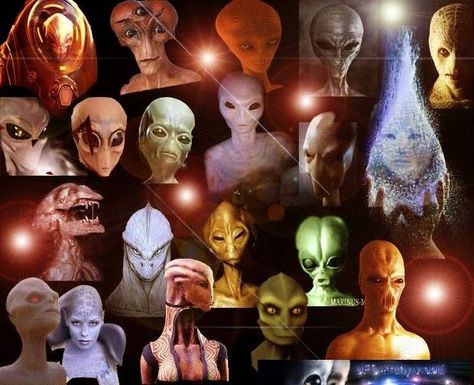 VIDEO: The Book Of An Alien Races has been Exposed – Daily Mysteries Extraterrestrial Beings, Twin Flame Love Quotes, Alien Photos, Alien Species, Army Sergeant, Spiritual Ascension, Human Evolution, Twin Flame Love, Racing Art