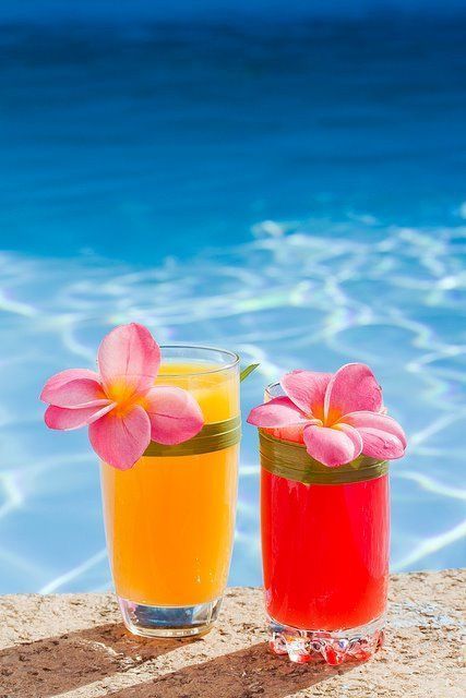 Drink Party, Tropical Drink, Peach Rings, Summer Pictures, Gummy Candy, Tropical Paradise, Summer Of Love, Summer Drinks, Summer Time