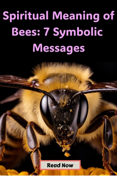 Spiritual Meaning of Bees: 7 Symbolic Messages Bumble Bee Symbolism, Meaning Of Bees, Bee Spiritual Meaning, Insect Symbolism, Spiritual Meaning Of Bees, Bee Spirit Animal, Honey Making, Butterfly Meaning, Bee Conservation