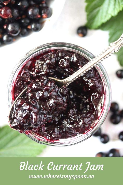 The best black currant jam recipe! Flavorful preserves making the most of these great summer berries. #whereismyspoon #blackcurrantjam #blackcurrants #blackcurrantpreserves #blackcurrantrecipe Black Currant Recipes, Red Currant Recipe, Black Currant Jam, Currant Recipes, Currant Jam, Rhubarb Jam Recipes, Currant Jelly, Rhubarb Jam, Blackberry Jam