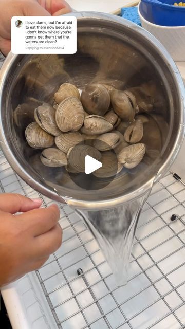 Ayesha Nurdjaja on Instagram: "You ask, I answer 🦪 Your tutorial on how to clean clams so you get the best dish every time! Happy weekend everyone. Try out this recipe and tag me so I can see how it goes!" Cleaning Clams, How To Clean Clams, Best Dishes, Cooking Techniques, Happy Weekend, Seafood, I Can, Canning, On Instagram