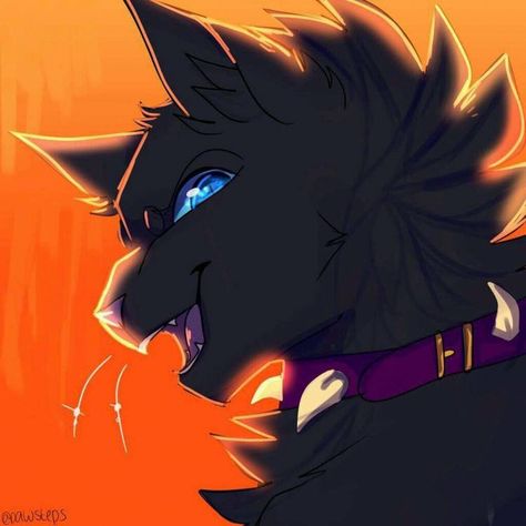 Warrior Cats Scourge, Emo Look, Pet Frogs, Cat Drawing Tutorial, Cats Art Drawing, Warrior Cats Fan Art, Ultimate Warrior, Warrior Cats Art, Cat Icon