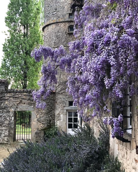 Castle Aesthetic Purple, Purple Wisteria Aesthetic, Purple Castle Aesthetic, Purple Castle, Wisteria Aesthetic, Green And Purple Aesthetic, Manor Aesthetic, Wisteria Tree, Purple Wisteria