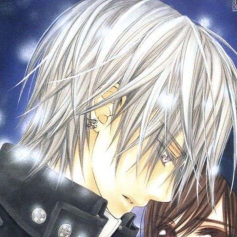 Yuki And Zero, Vampire Knight Zero, Vampire Knight Yuki, Pair Dp, Solo Pfps, Vampire Knights, Girl Pfp, Match Icons, Anime Pfps