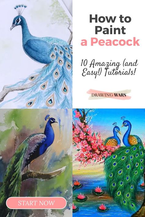 Painting A Peacock, How To Paint A Peacock, Paint Peacock, Florida Nature, Watercolor Peacock, Peacock Drawing, Peacock Canvas, Mini Canvases, Peacock Pictures