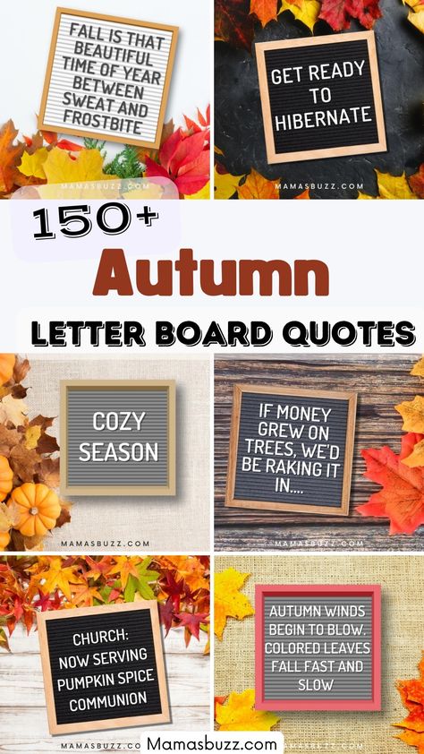 fall letter board quotes Summer To Autumn Quotes, Fall Letter Sign Ideas, Fall Pegboard Sayings, Fall Felt Board Ideas, Fall Quote Board Ideas, September Word Board, Message Boards Funny, Autumn Message Board, Fall Felt Board Sayings