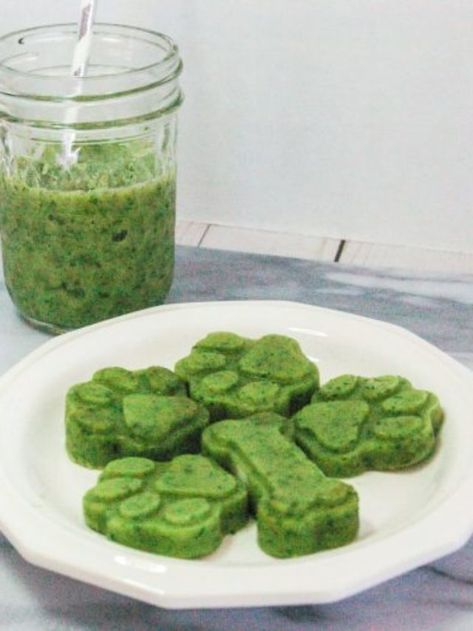 Healthy & Tasty Green Smoothie Dog Treat Recipe | Om Shanti Pups Animal Treats, Dog Treat Recipe, Green Smoothie Recipe, Easy Dog Treats, Frozen Dog, Om Shanti, Healthy Green Smoothies, Blender Recipes, Dog Recipes