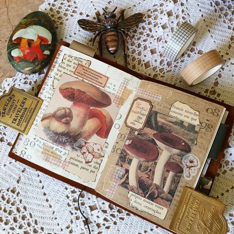 Mushroom Scrapbook Ideas, Mushroom Journal Ideas, Mushroom Scrapbook, Aestethic Journal, Journal Nature, Glue Books, Art Journal Cover, Art Appliqué, Glue Book