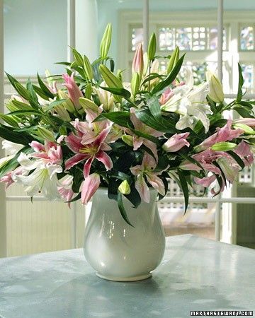 Suffuse your home in sweet scent with a lovely lily arrangement that's certain to wow dinner guests. Martha's preferred hybrids include softly hued Broadway, Stargazer, and Le Reve lilies. Lilly Arrangements, Lily Arrangement, Fake Flower Arrangements, Flower Containers, Spring Flower Arrangements, Lily Garden, Pink Lillies, Arrangement Ideas, Flower Arrangements Simple