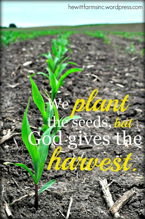 We plant the seed, but God gives the harvest. – Faith, Farming & Cowboy Boots Harvest Quotes, Chalkboards Ideas, Ag Quotes, Farming Quotes, Agriculture Quotes, Farm Life Quotes, Seed Quotes, Homestead Family, Farmer Quotes