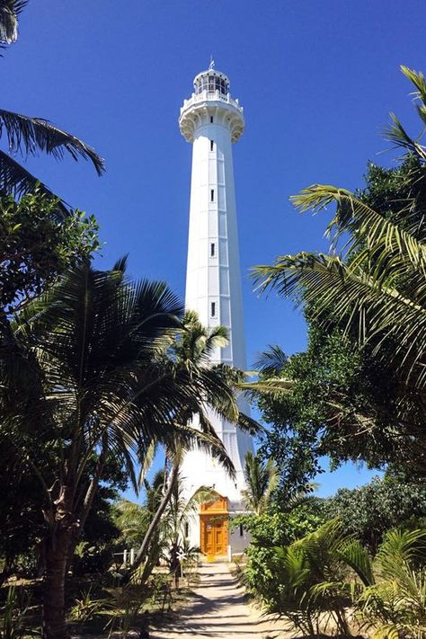 Welcome to Part 2 of my guide to New Caledonia! You can read Part 1, on Noumea, here. If you’re planning a holiday to New Caledonia, make sure you set aside at least several days to explore some of New Caledonia’s famous tropical islands. Even if you’re short on time and staying at Noumea, you can still see a lot through day trips from the mainland. Duck Island (Ile aux Canards) Duck Island is so close to Anse Vata in … Noumea New Caledonia, Duck Island, Girl Trip, Vacation Goals, Clothing Aesthetic, Island Destinations, Desert Island, Island Tour, Travel South