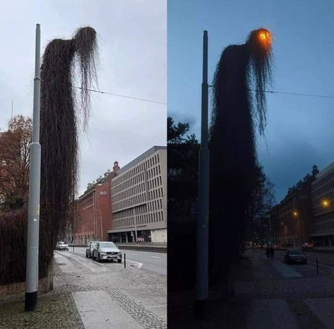 An overgrown light pole in Poland Realism Artists, Creepy Images, Picture Prompts, Light Pole, Garden Pictures, Morning Humor, 판타지 아트, Poland, The Outsiders