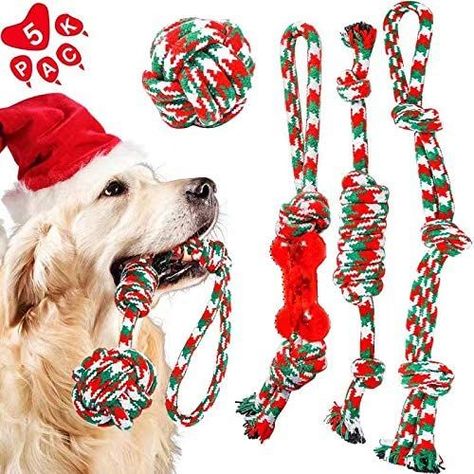 Christmas Dog Toys, Christmas Dog Toy, Puppy Chew Toys, Puppy Teething, Durable Dog Toys, Dog Varieties, Dog Christmas Gifts, Small Puppies, Dog Chew Toys