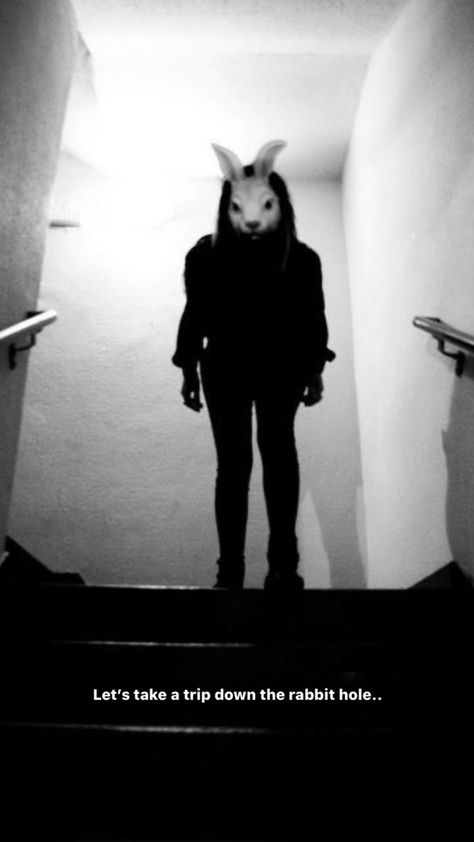 Instagram Creepy Photography, Dark Visions, Bunny Man, Creepy Vintage, Bunny Mask, Post Apocalyptic Fashion, Creepy Photos, Follow The White Rabbit, Creepy Images