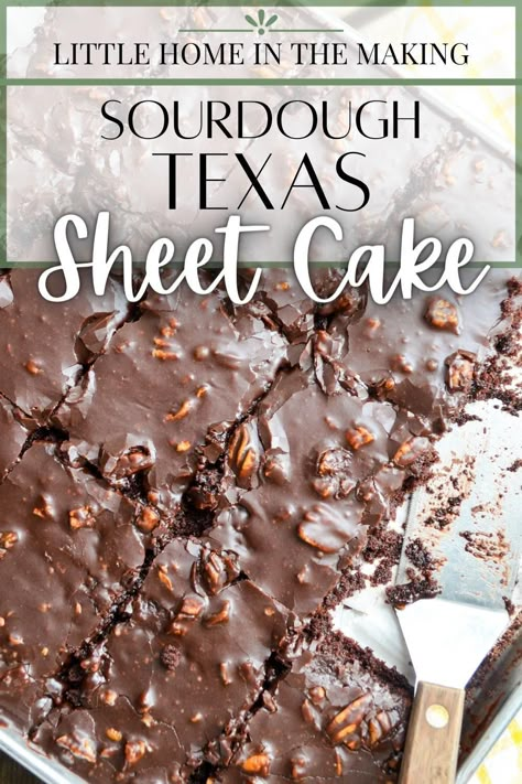 Sour Dough Cake Recipes, Sourdough Discard Cake, Sourdough Cakes, Sourdough Chocolate Cake Recipe, Sourdough Chocolate Cake, Sourdough Dessert, Dough Starter Recipe, Sourdough Desserts, Texas Sheet Cake Recipe