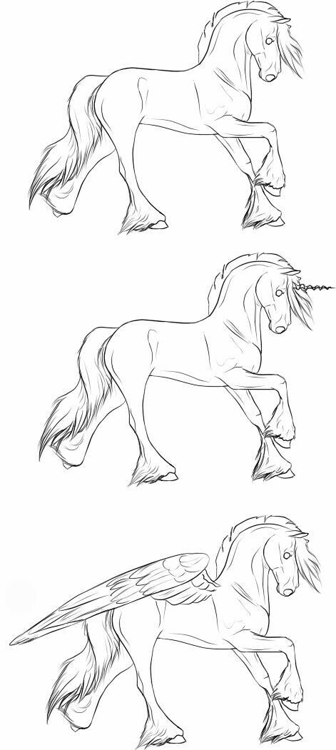 Horse Drawing Reference Poses, Pegasus Reference Drawing, Pegasus Lineart, Horse Drawing Base, Horse Base Drawing, Horse Poses Drawing, Horse Outline Drawing, Horse Lineart, Pegasus Drawing