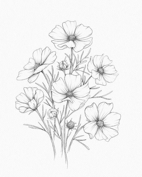 Closed Flower Drawing, Fineliner Drawing Ideas, Cosmo Flower Drawing, Cosmo Tattoo Flower, Cosmos Flowers Drawing, Cosmo Flower Tattoo, Cosmos Drawing, Project Sketchbook, Drawings Of Flowers