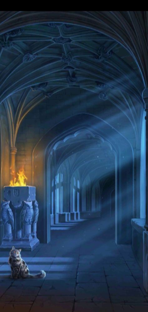 Harry Potter Jim Kay, Harry Potter Script, Hery Potter, Harry Potter Wiki, Harry Potter Puzzle, Harry Potter Background, Harry Potter Illustrations, Images Harry Potter, Harry Potter Artwork