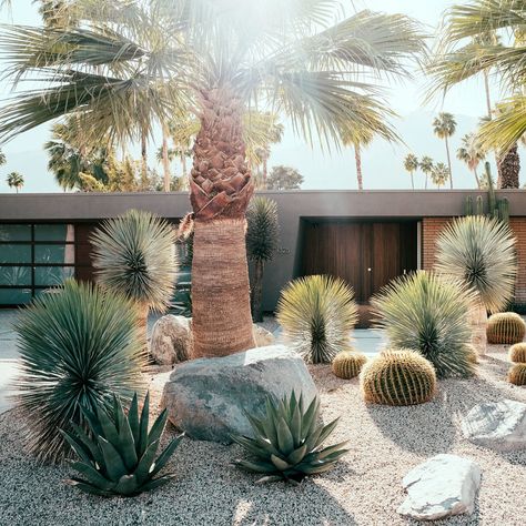 Palm Springs love - Before & After: Former Party Pad Becomes a Sleek Palm Springs Vacation Home - Sunset Cactus Garden Landscaping, Desert Backyard, Cheap Landscaping Ideas, Modern Front Yard, Dry Garden, Front Yard Design, Modern Landscape Design, Desain Lanskap, Desert Garden