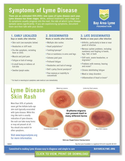 Lyme Disease Symptoms - Bay Area Lyme Foundation Lyme Symptoms, Disease Symptoms, Thyroid Health, Autoimmune Disease, Chronic Illness, Ticks, Bay Area, Disease, Health And Wellness