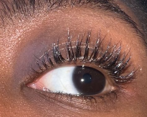 Longer Eyelashes Naturally, Grow Your Eyelashes, Natural Long Eyelashes, Long Thick Eyelashes, Thick Eyelashes, Natural Eyelashes, Perfect Eyebrows, Eyelash Growth, Common Myths