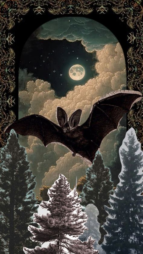 Bat Lockscreen, Bat Artwork, Bat Aesthetic, Bat Background, Bat Wallpaper, Scrapbook Background Paper, Scrapbook Backgrounds, Wallpaper Themes, Halloween Garden