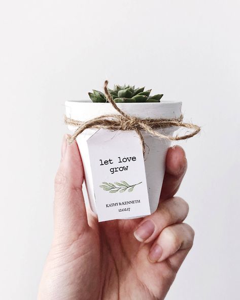 Succulent Wedding Favors, Baby Shower Favours, Let Love Grow, Wedding Favors And Gifts, Rustic Wedding Decorations, Succulent Favors, Cheap Favors, Painted Terra Cotta Pots, Best Wedding Favors