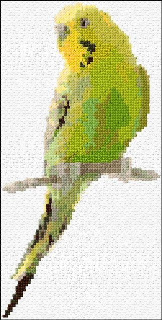 Green parakeet free download Cross Stitch Patterns Free Easy, Green Budgie, Green Parakeet, Cross Stitch Calculator, Beads Perler, Cross Stitch Pillow, Parakeets, Cross Stitch Bird, Iron Beads