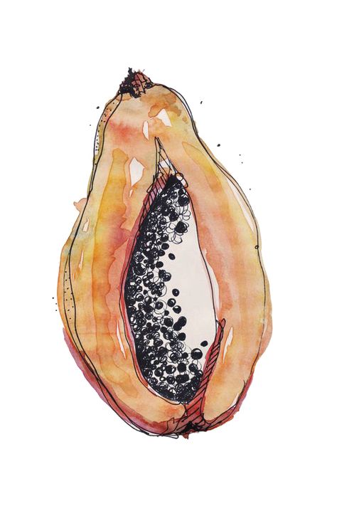 Papaya Illustration, Behance Illustration, Fast Sketch, Wall Art Illustration, Art Fruit, Watercolour Inspiration, Black Pen, Fruit Illustration, Architectural Sketch