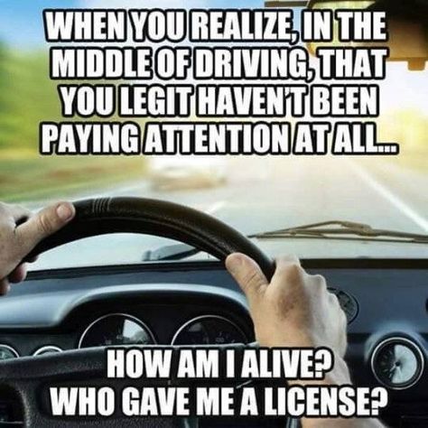 Funny Driving Quotes, Driving Memes, Driving Humor, Driving Quotes, Crush Posts, Relatable Crush, Bad Drivers, Quotes Status, Relatable Crush Posts