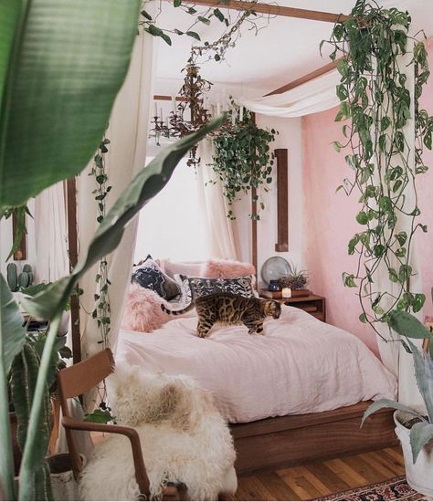 Girl Gang Craft on Instagram: “Catch us here tonight. 😍 . 📷 x @chelsaeanne __________________ 📍West Palm Beach, Florida . #stayingin #bed #kitty #netflixandchill…” Focus Ideas, Bohemian Bedrooms, Deco Rose, Dekorasi Kamar Tidur, Room Deco, Spring Theme, Aesthetic Rooms, Bedroom Goals, Bohemian Bedroom