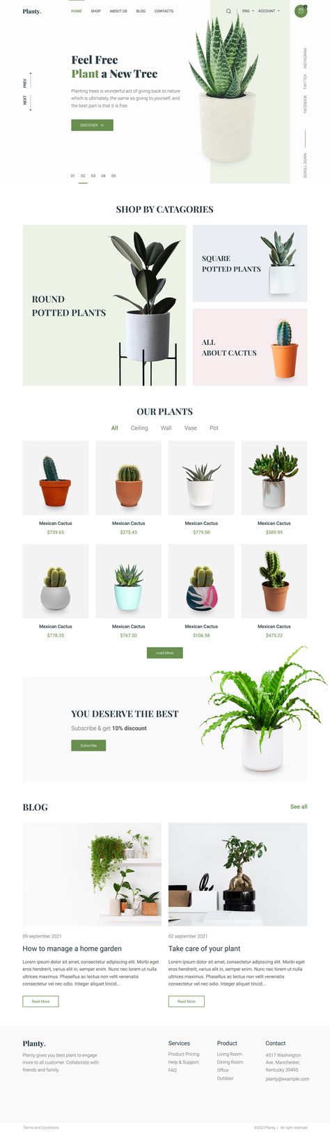 Botanical Website Design, Plant Nursery Website Design, Plant Web Design, Plant Website Design, Plant Store Branding, Plant Shop Website, Plant Shop Web Design, Plant Shop Branding Design, Plant Shop Website Design