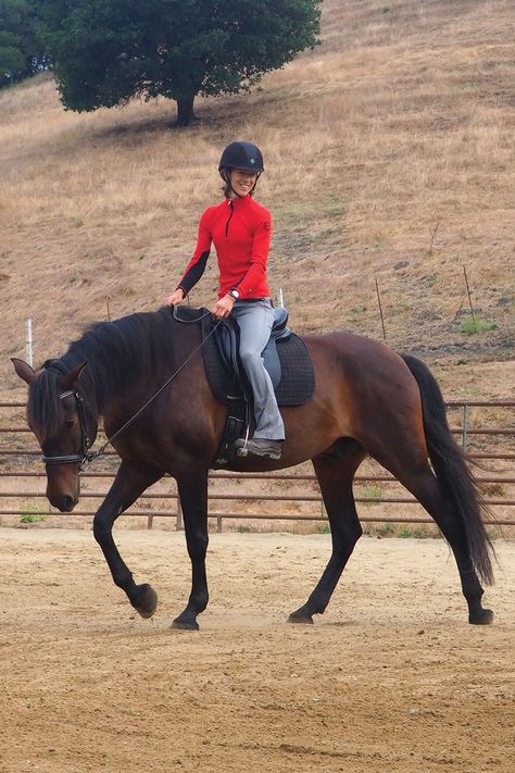 Someone Riding A Horse, Person Riding Horse, Walking Exercises, Horse Walking, Drawing Horses, Account Aesthetic, Lux Life, Walking Horse, English Riding