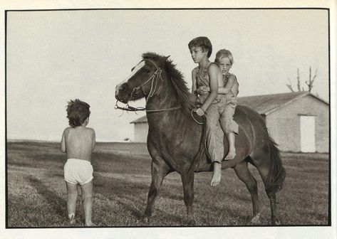 Her Three Sons – the work of Laura Wilson Andrew Wilson, Luke Wilson, Texas Monthly, Photographic Film, Owen Wilson, Three Brothers, Family Album, Family Affair, Radio Show