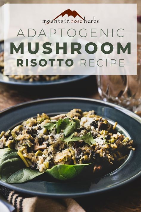 Vegan Mushroom Risotto, Vegan Risotto, Great Dinner Recipes, Mushroom Risotto Recipes, Mountain Rose Herbs, Risotto Recipe, Dried Mushrooms, Vegan Parmesan, Mushroom Risotto