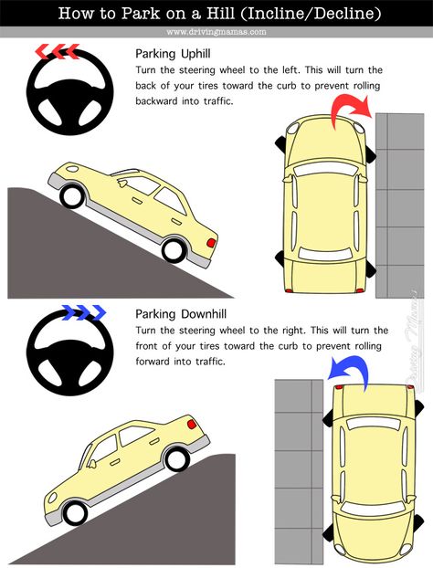 Driving Tips For Beginners, Learning To Drive Tips, Driving Test Tips, Learn Car Driving, Driving Basics, Safe Driving Tips, Car Life Hacks, Car Facts, Drivers Education