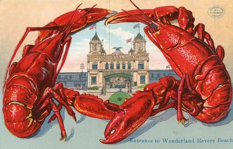 Lobster Giant Lobster, Vintage Lobster, Revere Beach, Lobster Shack, Rock Lobster, Lobster Design, Lobster Trap, To Wonderland, Antique Postcards