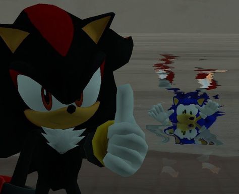 Haha! Shadow approved. Shadow And Sonic, The Hedgehog, Sonic, Sonic The Hedgehog, Water