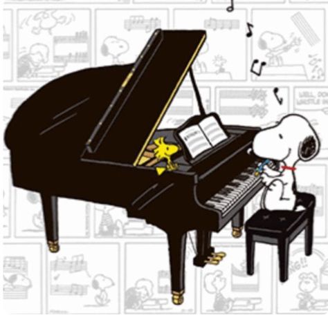 snoopy playing the piano Snoopy Music, Wallpaper Snoopy, Woodstock Snoopy, Sally Brown, Woodstock Peanuts, Snoopy Funny, Peanuts Cartoon, Peanuts Characters, Snoopy Wallpaper