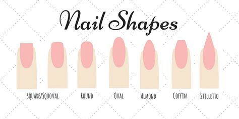 Nail Shape Chart, Nail Tip Shapes, Nails Shapes, Nail Shapes Squoval, Nail Shapes Square, Types Of Nail Polish, Shape Chart, Different Types Of Nails, Acrylic Nail Shapes