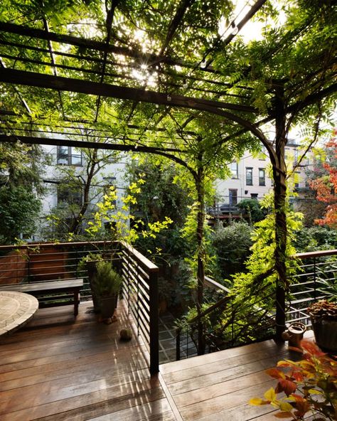 Park Slope Garden by Kim Hoyt Architect, Gardenista Pergola Ideas, Sloped Garden, Architecture Landscape, Have Inspiration, Pergola Plans, Pergola Patio, Rooftop Garden, Design Exterior, Pergola Designs