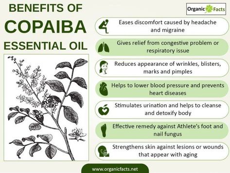 Essential Oils For Migraines, Copaiba Essential Oil, Tomato Nutrition, Oil For Skin, Lemon Benefits, Doterra Oils, Oil Uses, Essential Oil Uses, Lower Blood Pressure