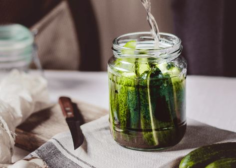 Pickle Juice Benefits, Drinking Pickle Juice, Pickle Recipes Homemade, Refrigerator Pickles, Flora Intestinal, Homemade Pickles, Pickle Juice, Pickling Cucumbers, Home Canning