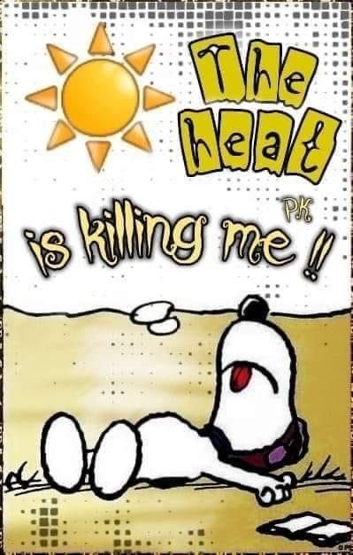 Snoopy Hot Weather, Snoopy Laughing, Hot Weather Humor, Charlie Brown Quotes, Funny Day Quotes, Snoopy Cartoon, Snoopy Funny, Snoopy Images, Peanuts Cartoon