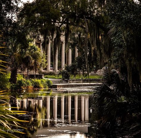 New Orleans City Park Pavilion Audubon Park New Orleans, New Orleans Trees, New Orleans Park, New Orleans Landscape, New Orleans Mansion, Spanish Moss Trees, Southern Gothic Aesthetic, Irl References, New Orleans City Park