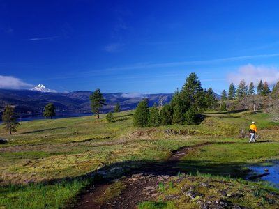 Catherine Creek Hiking Trail, White Salmon, Washington White Salmon Washington, A Short Hike, Eastern Oregon, The Gorge, Vacation Planning, Hiking Trail, Life Well Lived, Planning Tips, Washington State