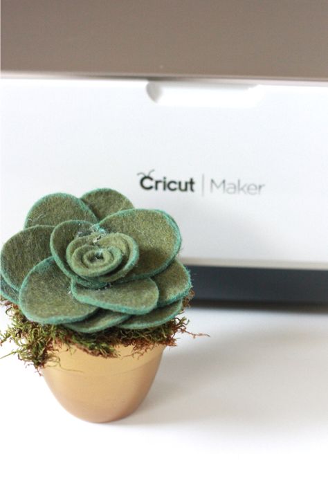 Looking for a cute, easy project to try out your new Cricut Maker? Look no further! These darling felt succulents are a great first project to use your fabric mat and rotary blade. (Want to know m… Succulent Business, Cricut Felt, Plant Classroom, Felt Crafts Flowers, Florist Ideas, Cricut Gifts, Felted Projects, Fabric Plants, Cricut Inspiration