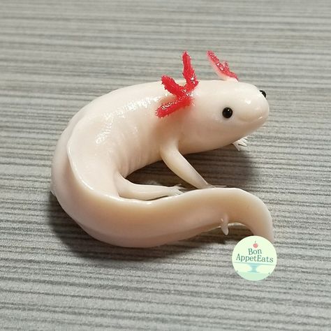 Finished up this commission for a customized small axolotl sculpture last night. :) You can convo me on Etsy for commissions: BonAppetEats.Etsy.com Pepper Tree, Soap Carving, Cardboard Sculpture, Clay Baby, Clay Animals, Modeling Clay, Paper Crafts Origami, Cute Clay, Clay Art Projects