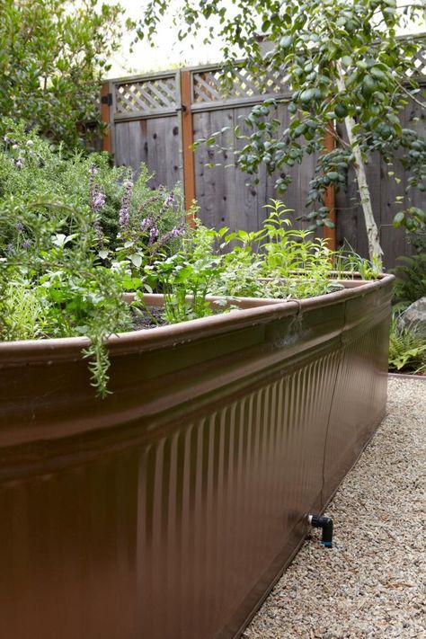 Metal water troughs painted and used as raised garden beds. Drainage hole is connected to irrigation sustem; bottom is filled with 2" gravel, then landscape fabric, then soil. Livestock Water Trough, Garden Troughs, Raised Garden Bed Plans, Raised Flower Beds, Drought Tolerant Garden, Vegetable Garden Raised Beds, Water Trough, Building A Raised Garden, Trough Planters