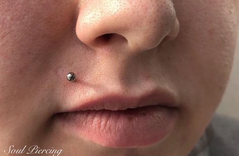 #Madonnapiercing performed using our standard astmf136 titanium jewelry. _________________________________________ Thanks for looking! . .… Madonna Piercing, Titanium Jewelry, Cute Makeup, Madonna, Piercings, Nose Ring, Makeup, Hair, Instagram